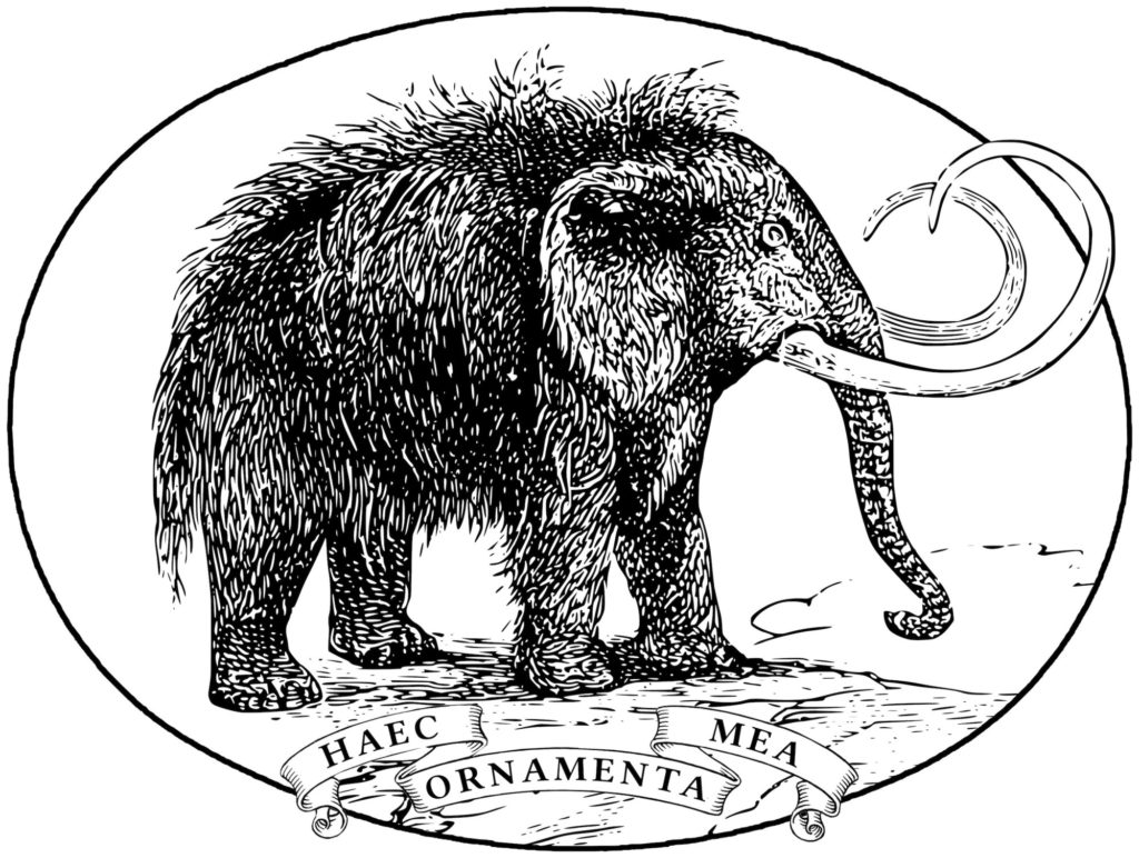 mammut